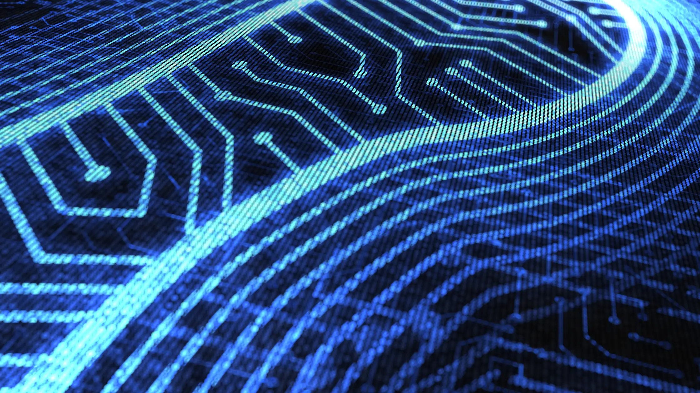Reducing Your Digital Footprint: Why It Matters